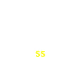 3SS